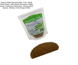 Organic Alfalfa Sprouting Seed - 4 Oz -Handy Pantry Brand - High Sprout Germination- Edible Seeds, Gardening, Hydroponics, Growing Salad Sprouts, Planting, Food Storage & More