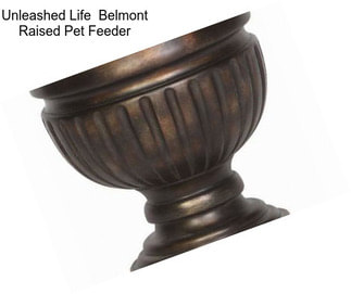 Unleashed Life  Belmont Raised Pet Feeder