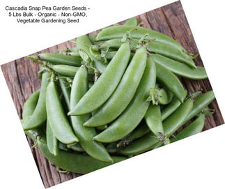Cascadia Snap Pea Garden Seeds - 5 Lbs Bulk - Organic - Non-GMO, Vegetable Gardening Seed