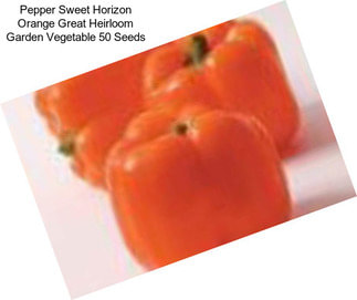 Pepper Sweet Horizon Orange Great Heirloom Garden Vegetable 50 Seeds