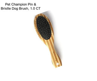 Pet Champion Pin & Bristle Dog Brush, 1.0 CT