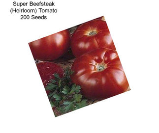 Super Beefsteak (Heirloom) Tomato 200 Seeds