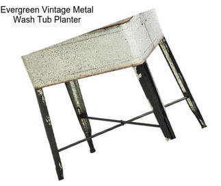 Evergreen Vintage Metal Wash Tub Planter