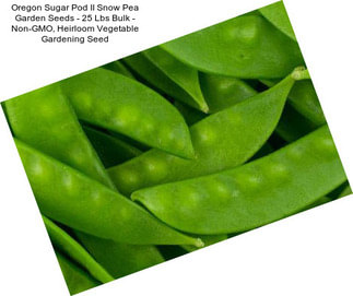 Oregon Sugar Pod II Snow Pea Garden Seeds - 25 Lbs Bulk - Non-GMO, Heirloom Vegetable Gardening Seed