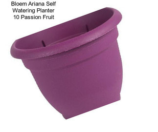 Bloem Ariana Self Watering Planter 10\