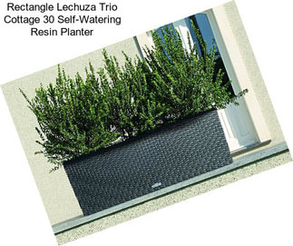 Rectangle Lechuza Trio Cottage 30 Self-Watering Resin Planter