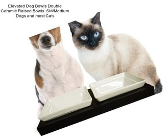 Elevated Dog Bowls Double Ceramic Raised Bowls. SM/Medium Dogs and most Cats