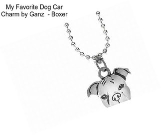 My Favorite Dog Car Charm by Ganz  - Boxer