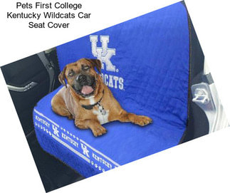 Pets First College Kentucky Wildcats Car Seat Cover