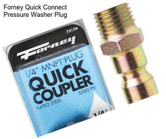 Forney Quick Connect Pressure Washer Plug