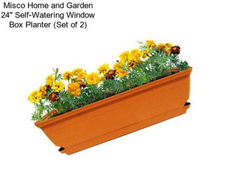 Misco Home and Garden 24\'\' Self-Watering Window Box Planter (Set of 2)