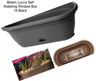 Bloem Lucca Self Watering Window Box 18\