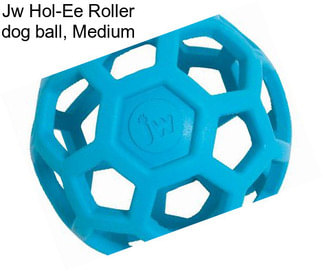 Jw Hol-Ee Roller dog ball, Medium