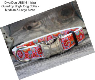 Diva Dog UBS161 Ibiza Gumdrop Bright Dog Collar - Medium & Large Sized