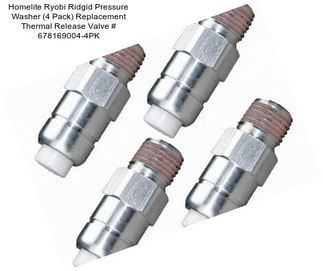 Homelite Ryobi Ridgid Pressure Washer (4 Pack) Replacement Thermal Release Valve # 678169004-4PK