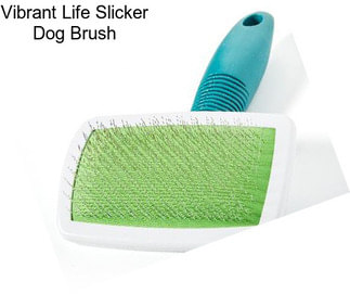 Vibrant Life Slicker Dog Brush
