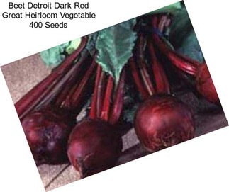 Beet Detroit Dark Red Great Heirloom Vegetable 400 Seeds