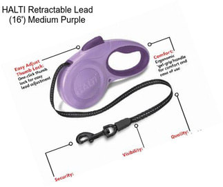 HALTI Retractable Lead (16\') Medium Purple