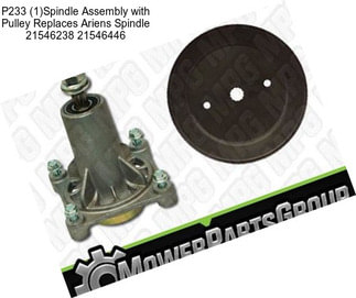 P233 (1)Spindle Assembly with Pulley Replaces Ariens Spindle 21546238 21546446