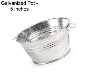 Galvanized Pot - 5 inches