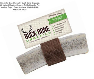 Elk Antler Dog Chews by Buck Bone Organics, All Natural Healthy Chew, 4.5-5\