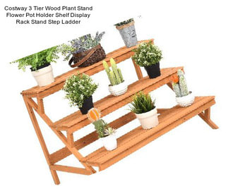 Costway 3 Tier Wood Plant Stand Flower Pot Holder Shelf Display Rack Stand Step Ladder