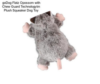 GoDog Flatz Opossom with Chew Guard Technologytm Plush Squeaker Dog Toy