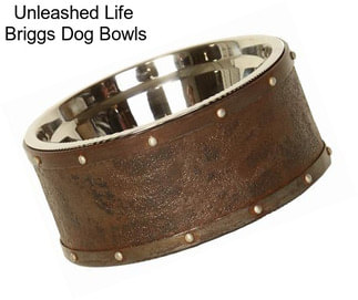 Unleashed Life  Briggs Dog Bowls