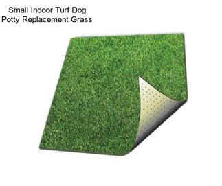 Small Indoor Turf Dog Potty Replacement Grass