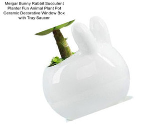 Meigar Bunny Rabbit Succulent Planter Fun Animal Plant Pot Ceramic Decorative Window Box with Tray Saucer