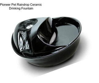 Pioneer Pet Raindrop Ceramic Drinking Fountain