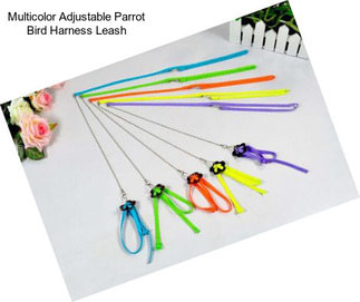 Multicolor Adjustable Parrot Bird Harness Leash