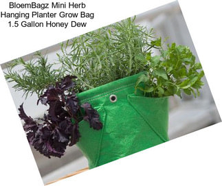 BloemBagz Mini Herb Hanging Planter Grow Bag 1.5 Gallon Honey Dew