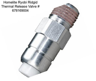 Homelite Ryobi Ridgid Thermal Release Valve # 678169004