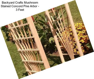 Backyard Crafts Mushroom Stained Concord Pine Arbor - 3 Feet