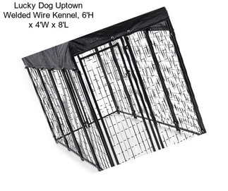 Lucky Dog Uptown Welded Wire Kennel, 6\'H x 4\'W x 8\'L