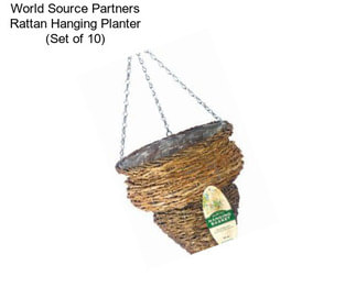 World Source Partners Rattan Hanging Planter (Set of 10)