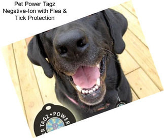 Pet Power Tagz Negative-Ion with Flea & Tick Protection