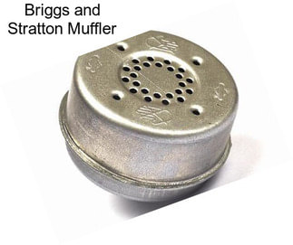 Briggs and Stratton Muffler