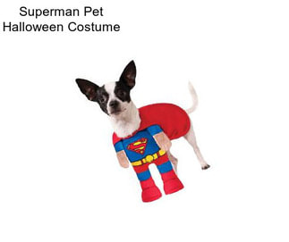 Superman Pet Halloween Costume