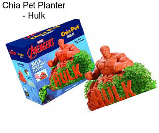 Chia Pet Planter - Hulk