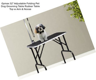 Gymax 32\'\' Adjustable Folding Pet Dog Grooming Table Rubber Table Top w Arm & Noose