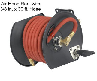 Air Hose Reel with 3/8 in. x 30 ft. Hose