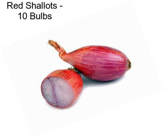 Red Shallots - 10 Bulbs