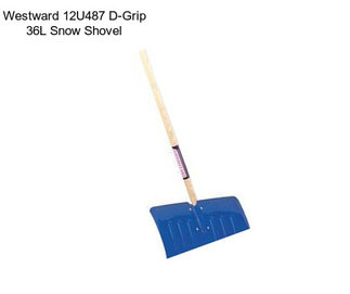 Westward 12U487 D-Grip 36\