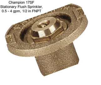 Champion 17SF Stationary Flush Sprinkler, 0.5 - 4 gpm, 1/2 in FNPT