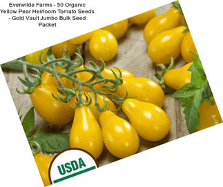Everwilde Farms - 50 Organic Yellow Pear Heirloom Tomato Seeds - Gold Vault Jumbo Bulk Seed Packet