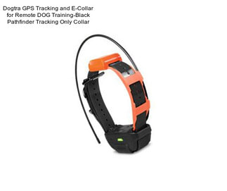 Dogtra GPS Tracking and E-Collar for Remote DOG Training-Black Pathfinder Tracking Only Collar