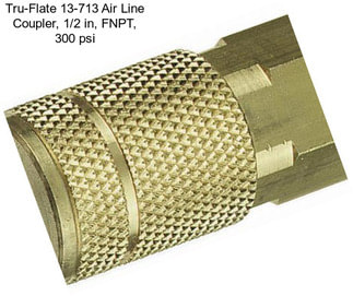 Tru-Flate 13-713 Air Line Coupler, 1/2 in, FNPT, 300 psi