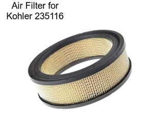 Air Filter for Kohler 235116